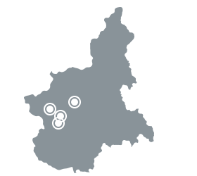 Sedi Agenzia Torino S.r.l. Fiditalia Torino Collegno Settimo Torinese